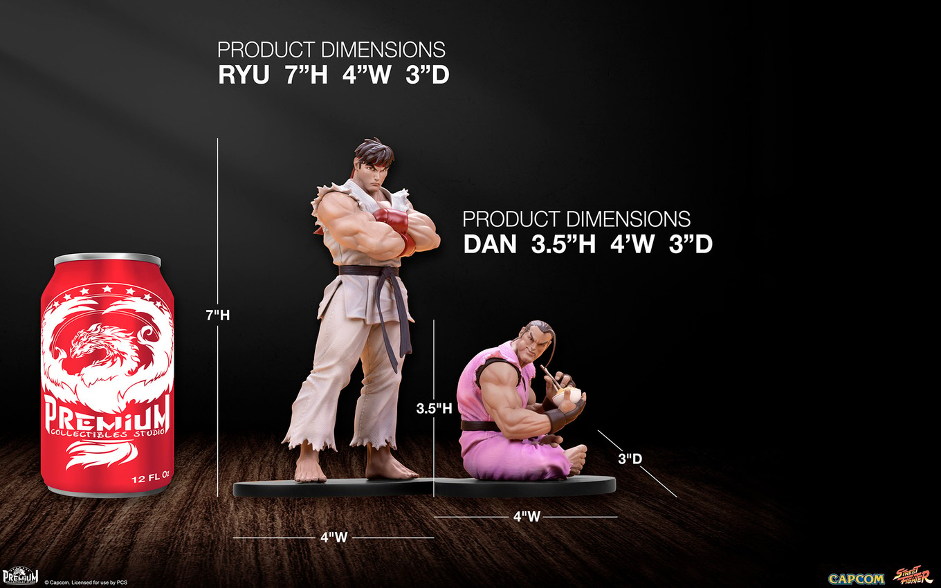 Ryu & Dan- Prototype Shown View 2