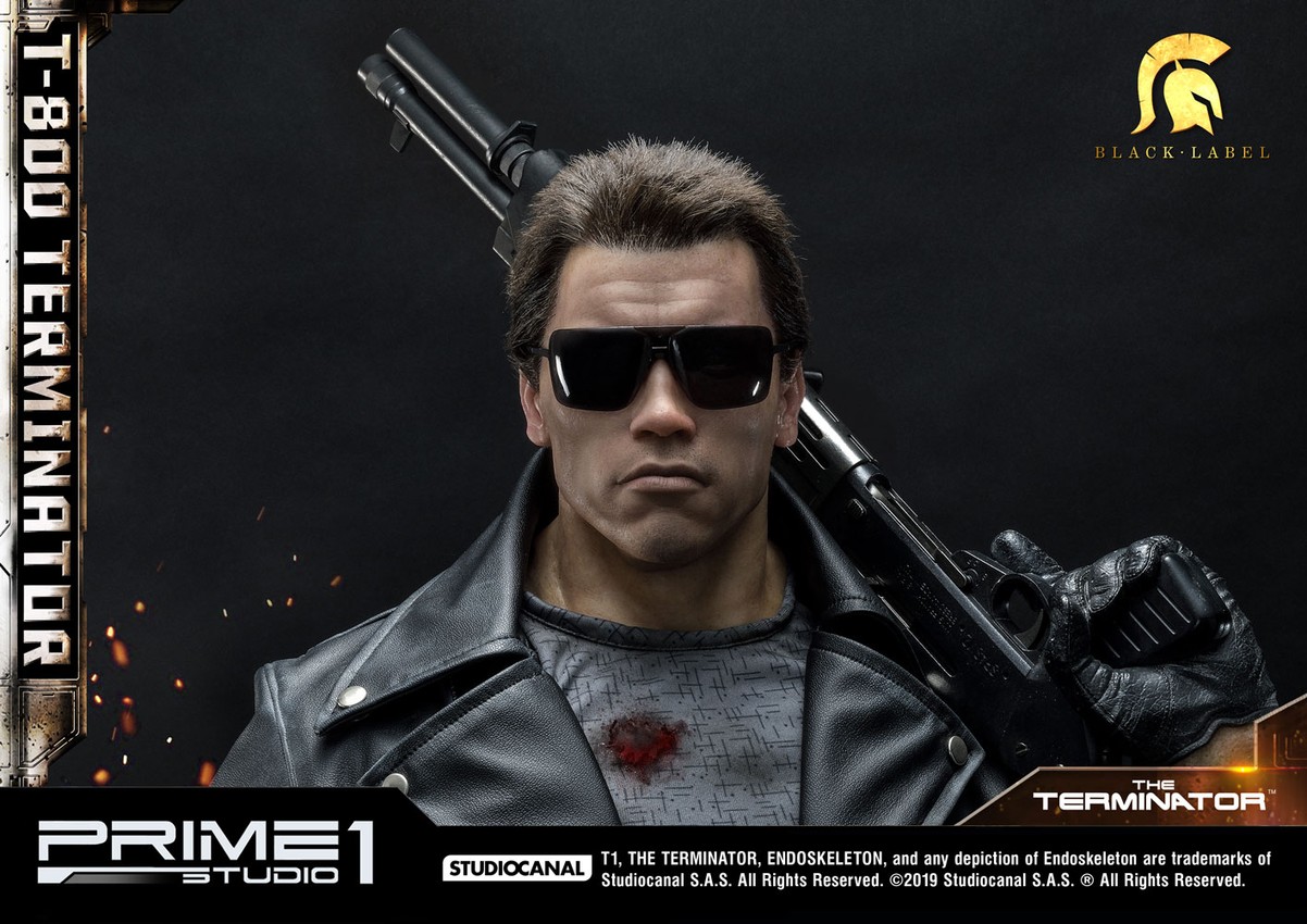 T-800 Terminator Collector Edition - Prototype Shown View 4