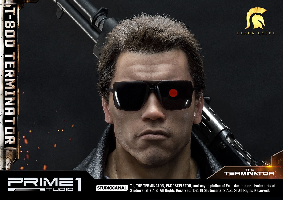T-800 Terminator Collector Edition - Prototype Shown