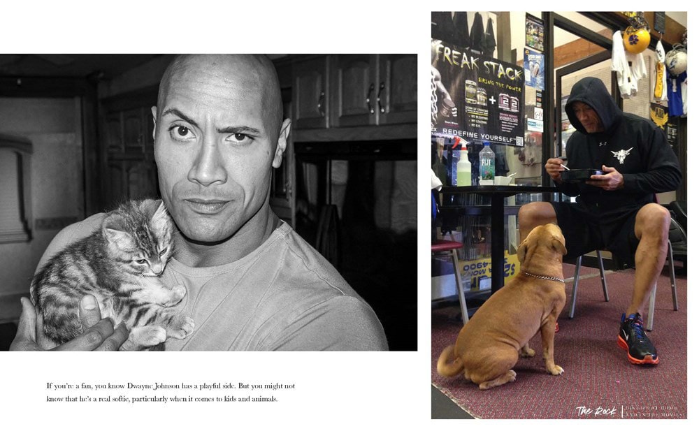 The Rock: Through the Lens- Prototype Shown