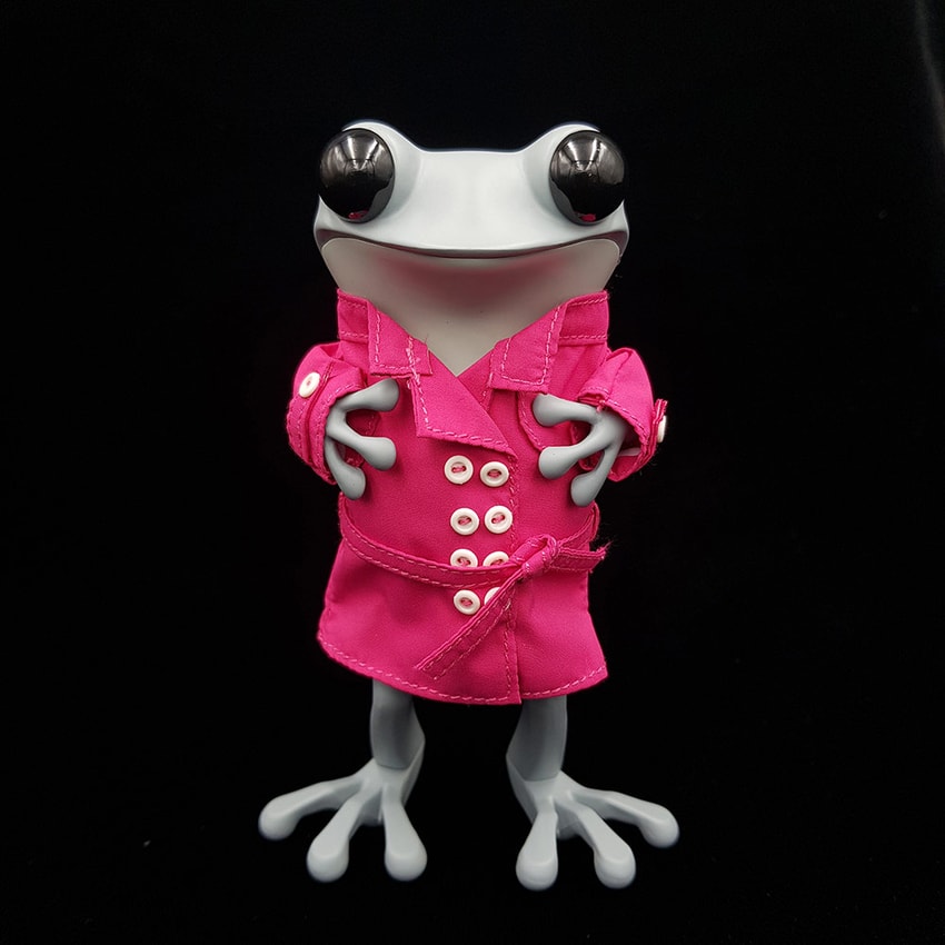 APO Frogs You Make Me Happy When Skies are Gray Designer Toy  View 1
