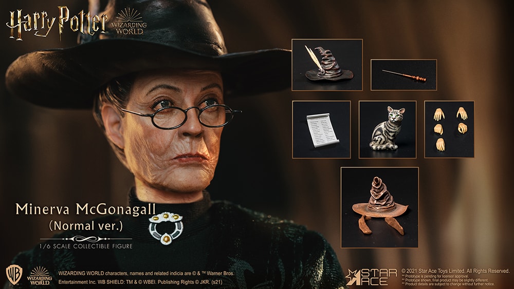 Minerva McGonagall Collector Edition - Prototype Shown View 1