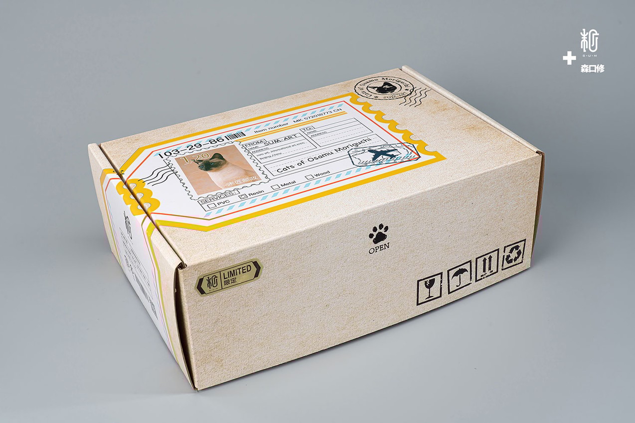 Siamese Cat- Prototype Shown