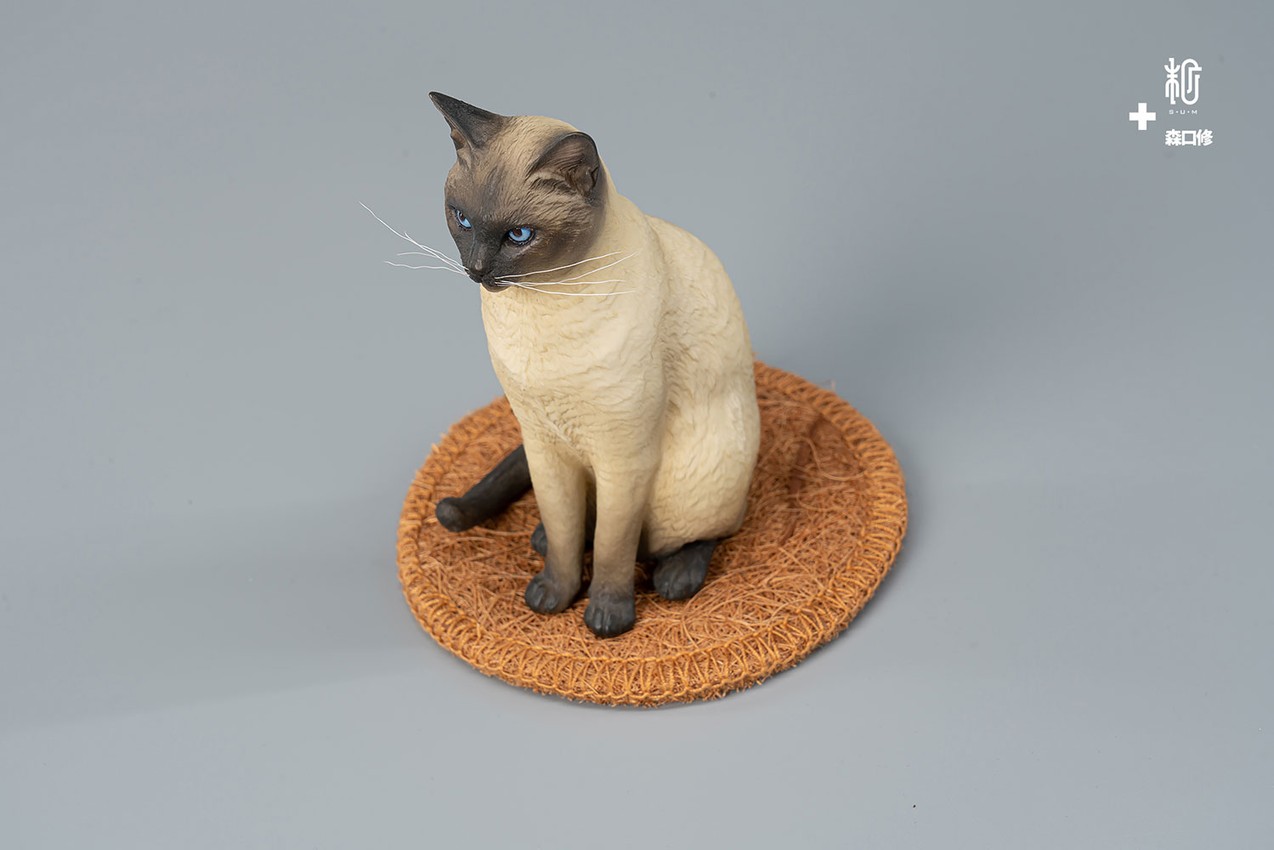 Siamese Cat- Prototype Shown