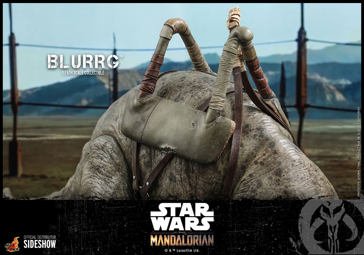 Star Wars Blurrg™ Sixth Scale Figure  Collector Edition - Prototype Shown View 6