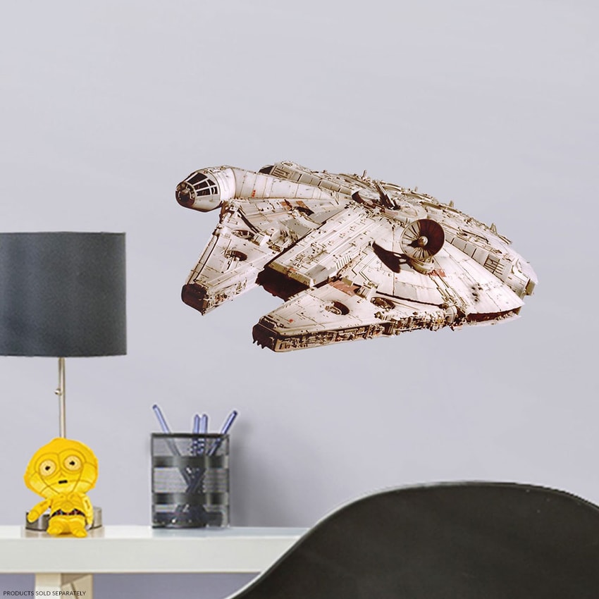 Millennium Falcon View 1