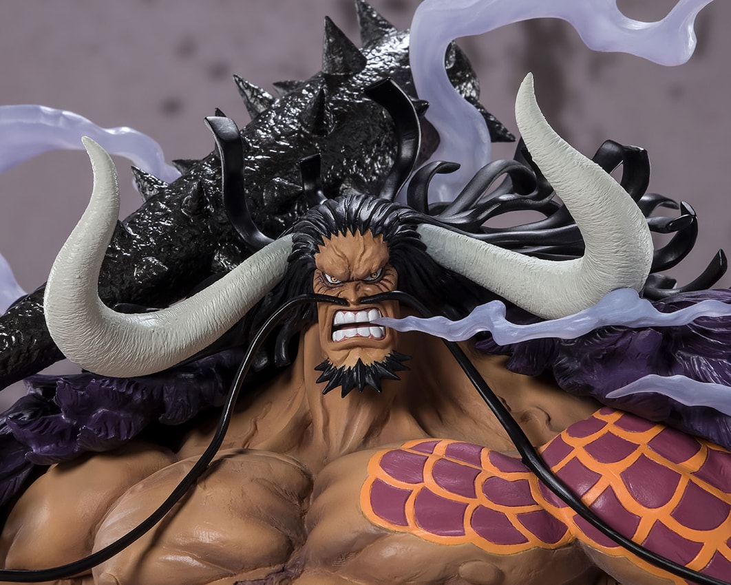 Kaido King of the Beasts (Extra Battle)