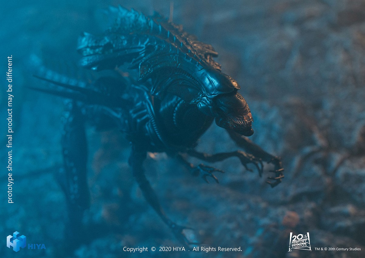 Alien Queen (Battle Damaged)- Prototype Shown View 4