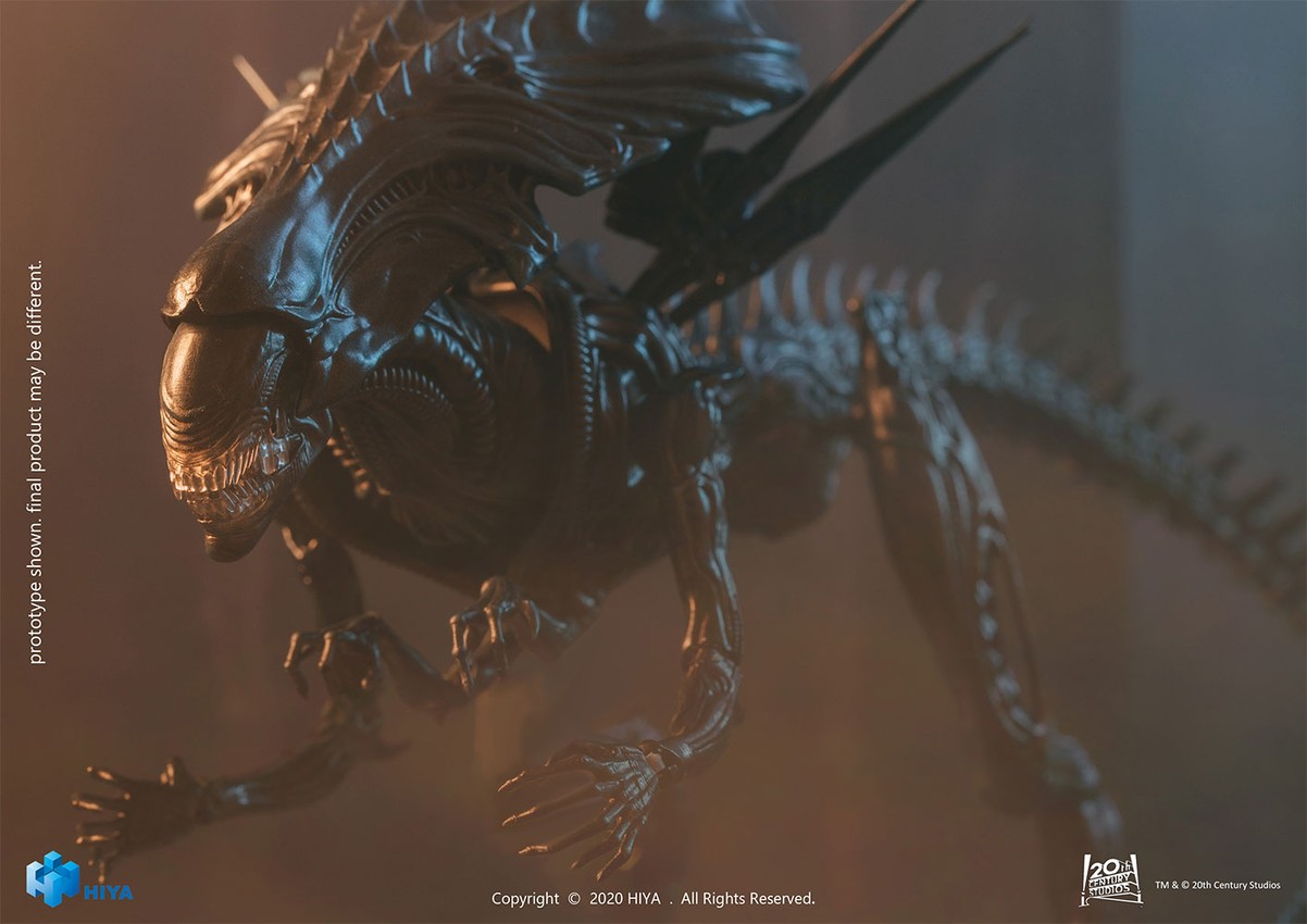 Alien Queen- Prototype Shown View 3