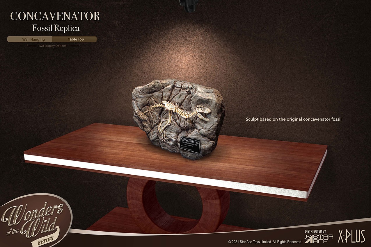 Fossil- Prototype Shown