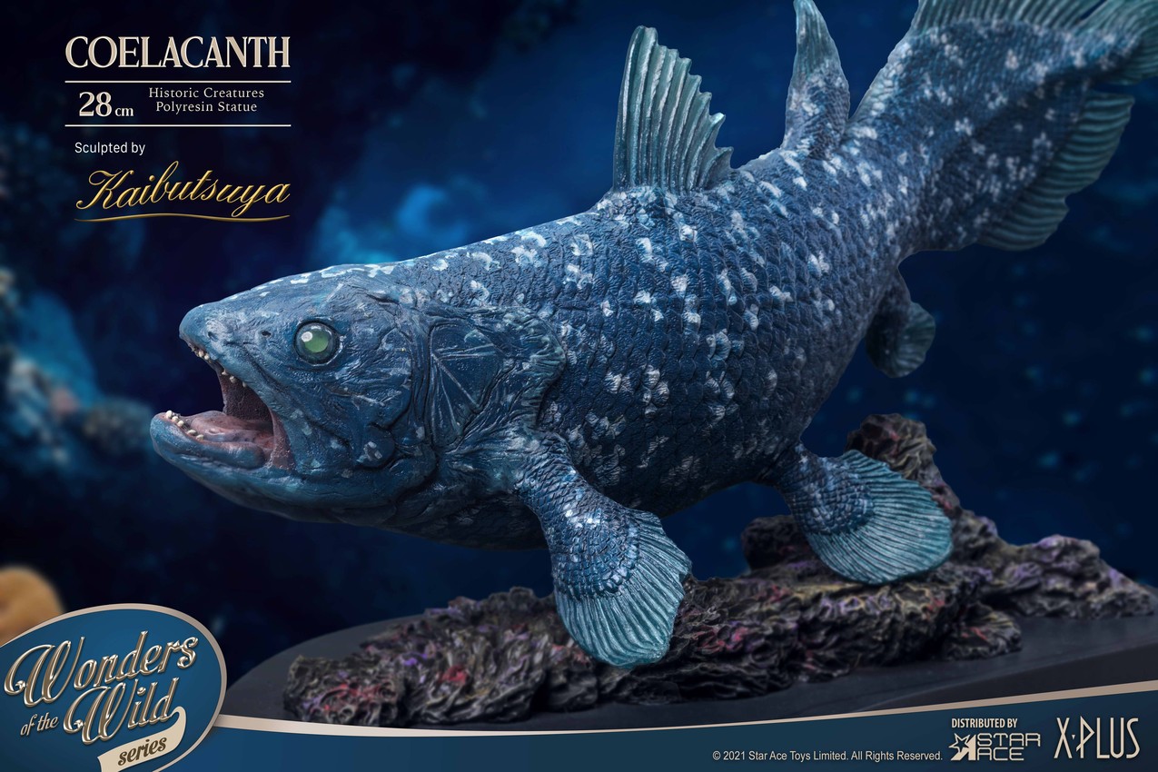 シーラカンス　スタチュー スターエーストイズ Coelacanth Statue by Star Ace | Sideshow Collectibles