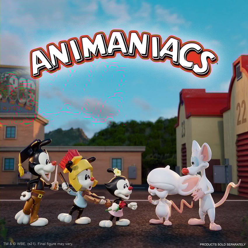 Wakko- Prototype Shown