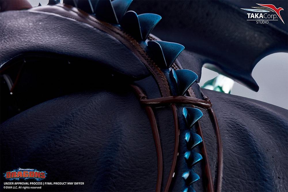 Toothless & Hiccup