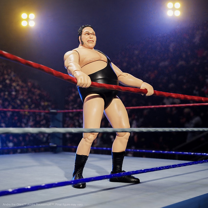 Andre the Giant Andre the Giant (Black Singlet) Action Figure - Prototype Shown View 2