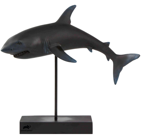 Animal Planet Shark- Prototype Shown