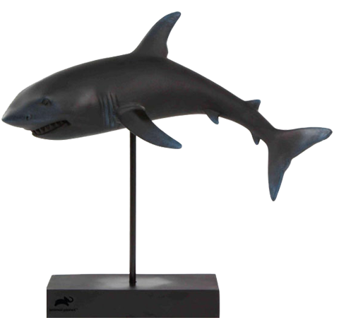 Animal Planet Shark- Prototype Shown