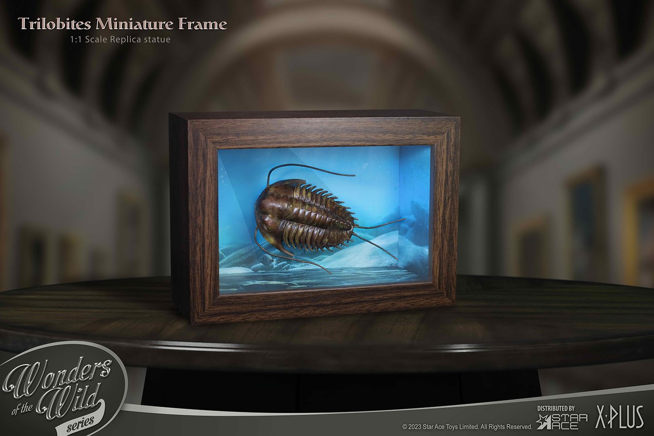 Pre-Historic Creatures Trilobites Miniature Frame & Fossil Deluxe Scaled Replica - Prototype Shown View 6