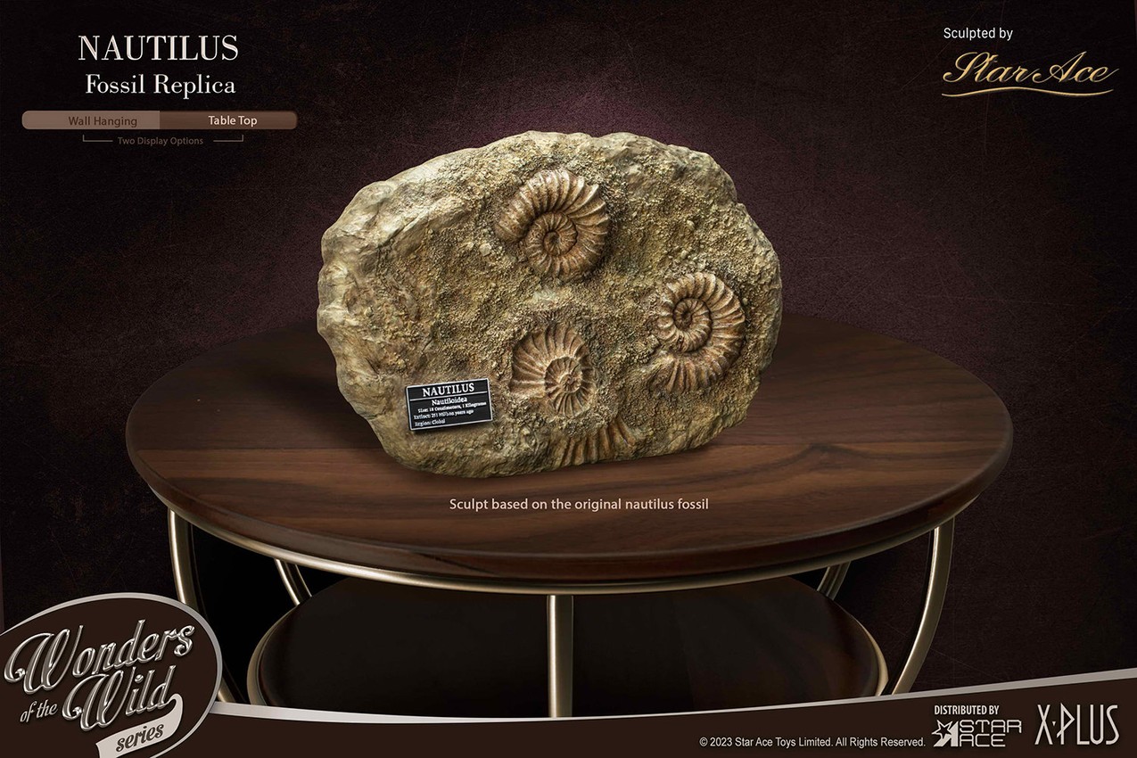 Nautilus Miniature Frame & Fossil Deluxe- Prototype Shown