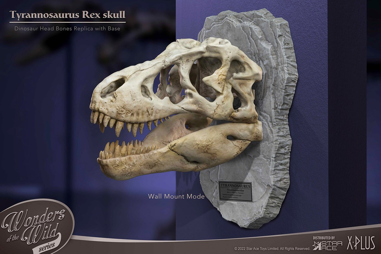 T-Rex Head Skull- Prototype Shown