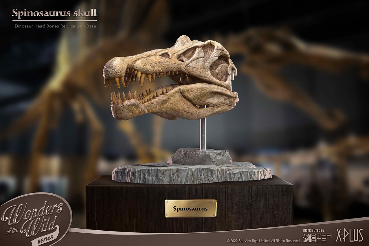 Spinosaurus Head Skull- Prototype Shown