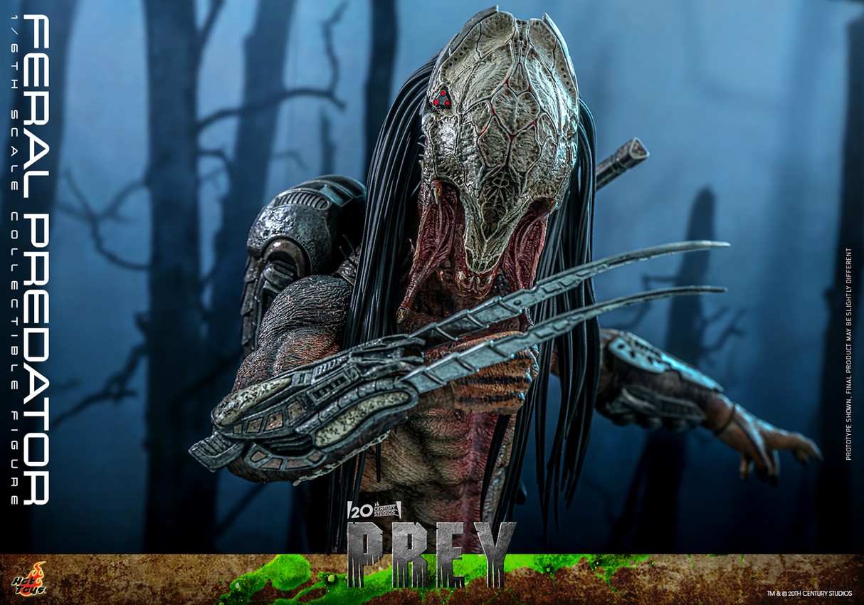 Hot toys predalien new arrivals