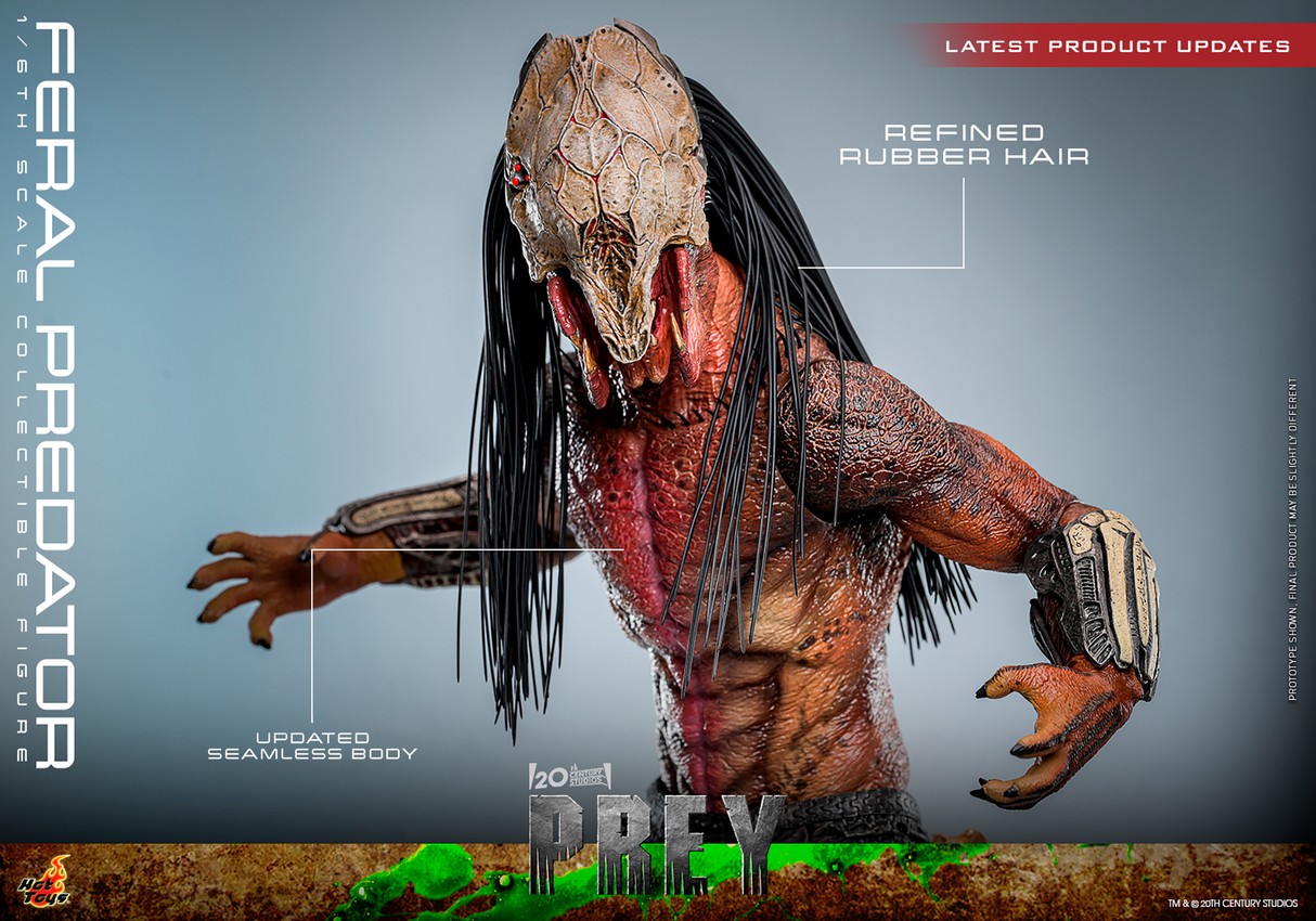 Feral Predator Sixth Scale Figure by Hot Toys | Sideshow Collectibles