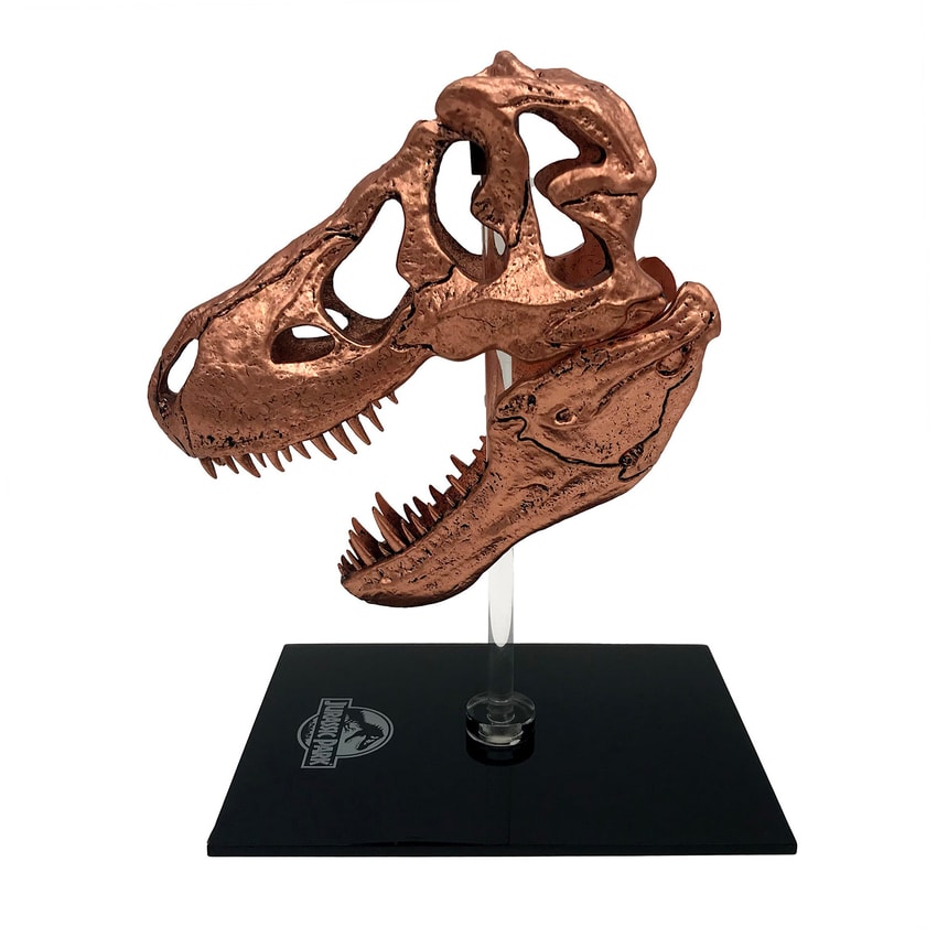 T-Rex Skull- Prototype Shown View 3