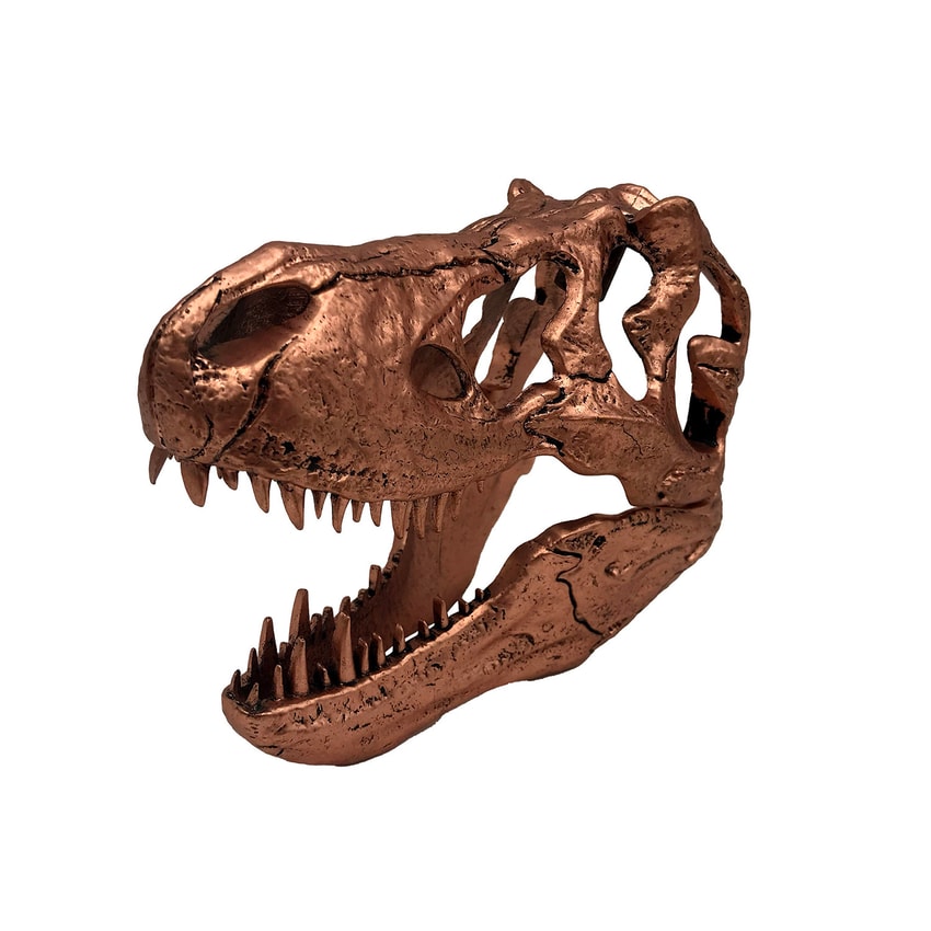 T-Rex Skull- Prototype Shown View 4