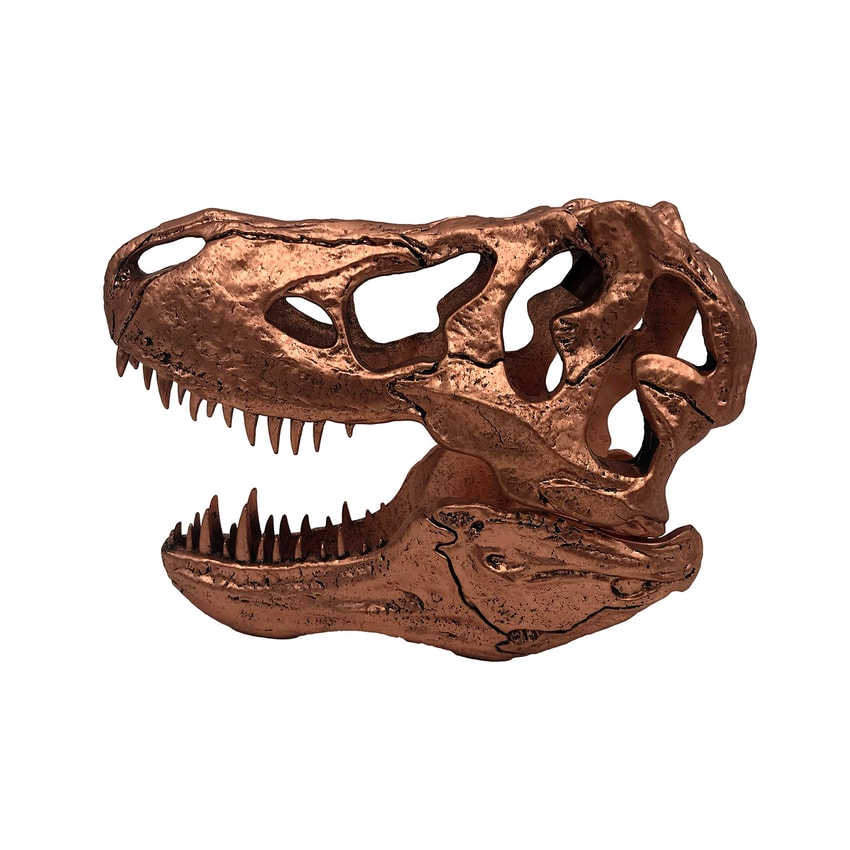 T-Rex Skull- Prototype Shown View 5