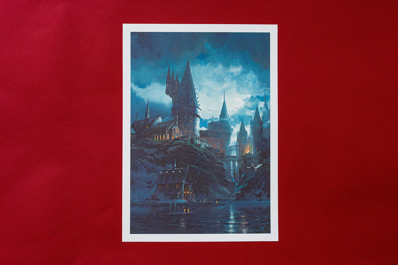 Harry Potter The Art and Making of Hogwarts Legacy Book  View 5