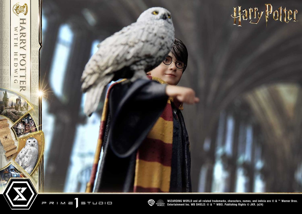 Harry Potter With Hedwig- Prototype Shown View 4