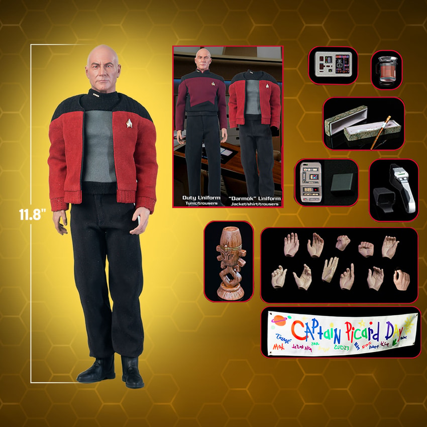 Star Trek TNG Collector Series CAPTAIN JEAN-LUC PICARD 9