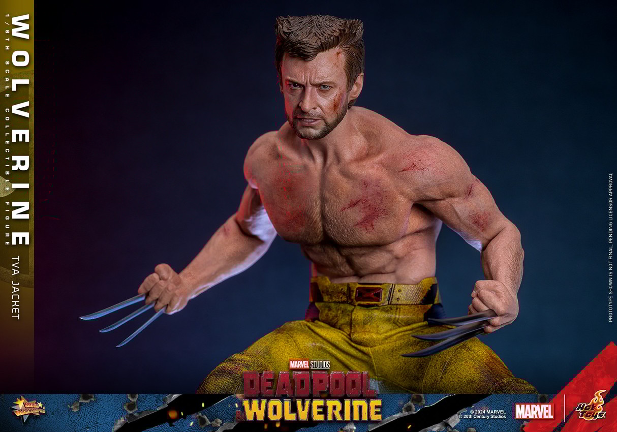Wolverine with jacket on sale