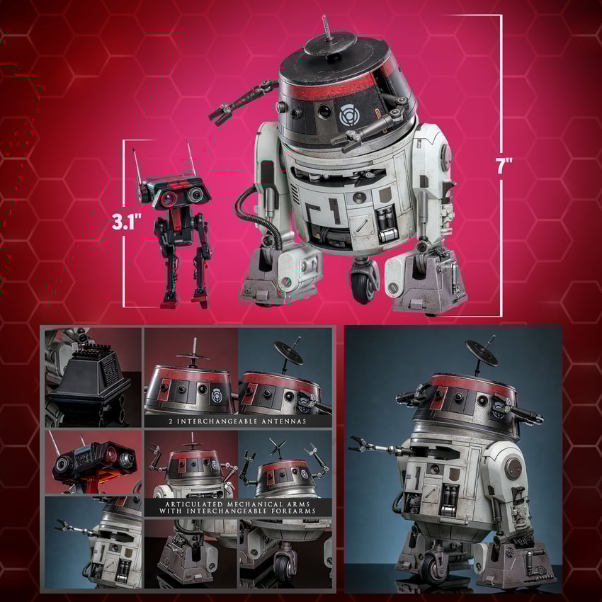 Chopper (C1-10P™) & BD-1™ (Imperial Disguise) Sixth Scale