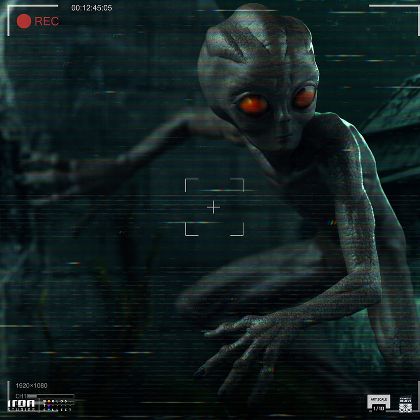 ET Varginha 1:10 Art Scale Statue by Iron Studios | Sideshow ET Varginha 1:10 Art Scale Statue by Iron Studios | Sideshow