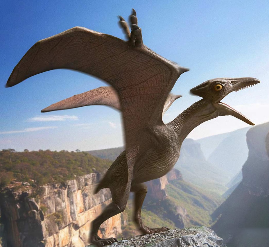 Jurassic Park Pteranodon (Bonus Version) Statues - Prototype Shown View 3