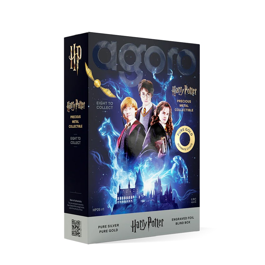 HARRY POTTER™ - 25 Years of Magic Blind Box Silver Collectible by