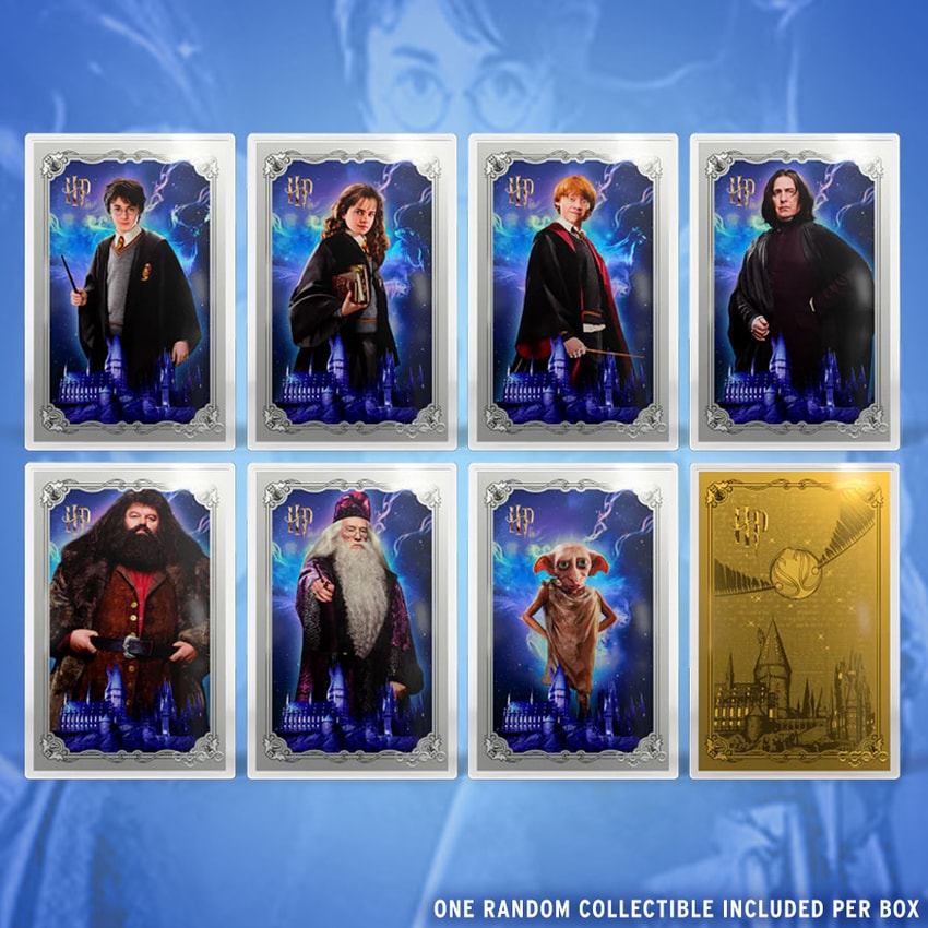 HARRY POTTER™ - 25 Years of Magic Blind Box Silver Collectible by