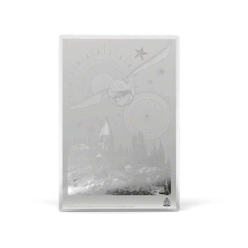 Harry Potter HARRY POTTER™ and the Sorcerer's Stone Foil Silver Collectible - Prototype Shown View 4