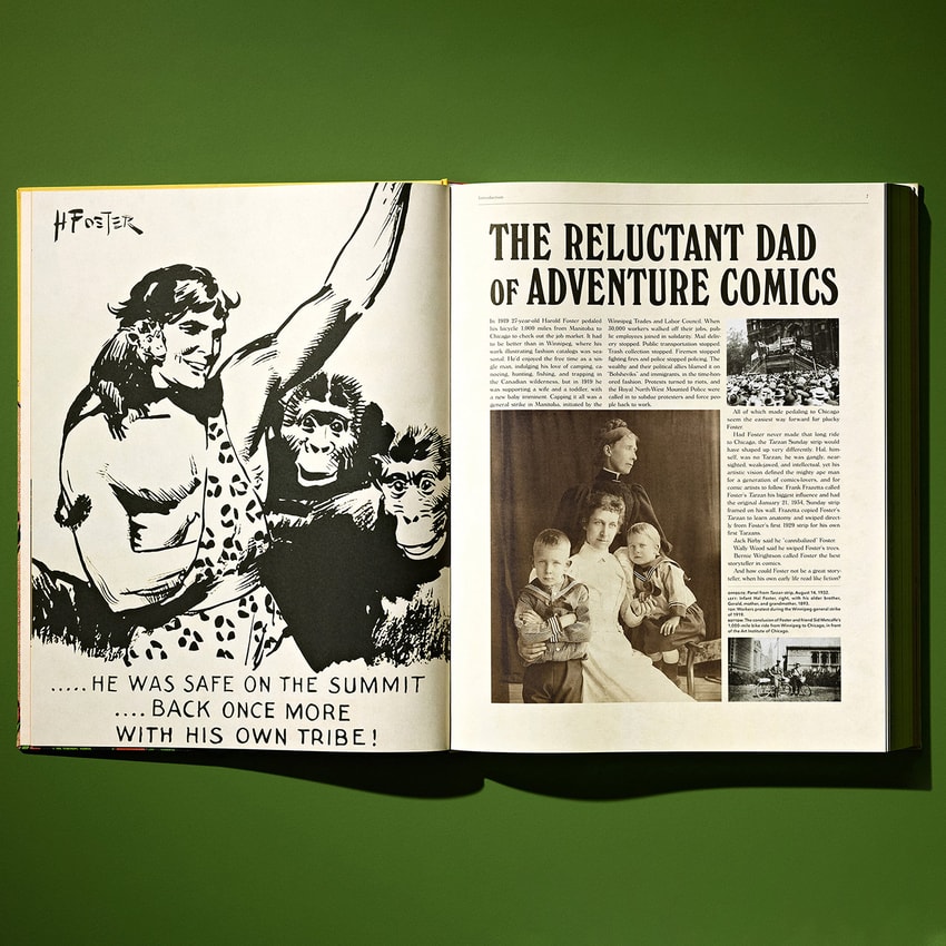 Tarzan Hal Foster’s Tarzan. The Complete Sunday Comics 1931–1937 Book - Prototype Shown View 6