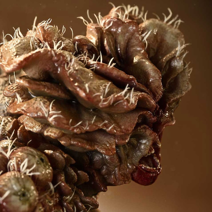 The Last of Us Bloater Quarter Scale Statue - Prototype Shown View 5