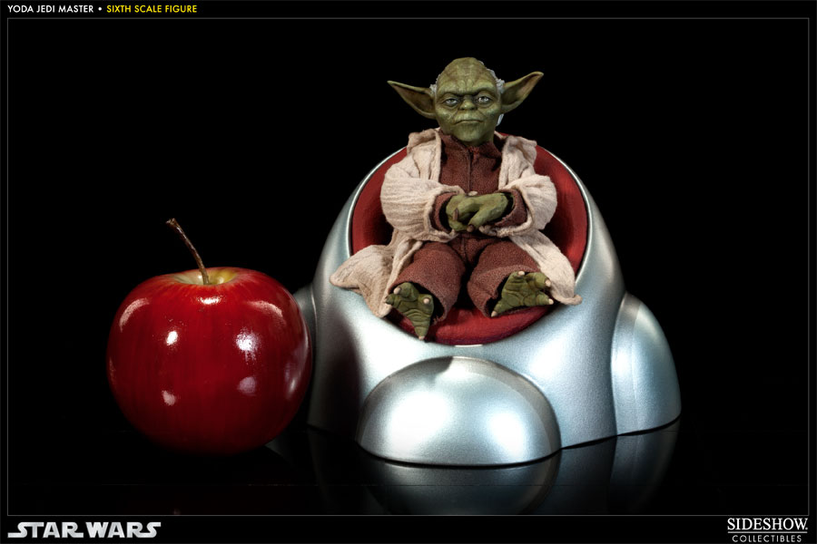 Yoda: Jedi Master (Prototype Shown) View 4