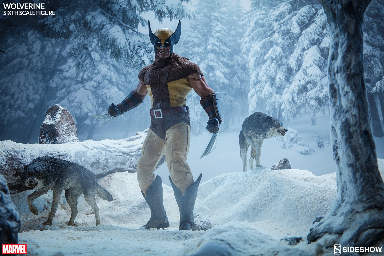 Wolverine