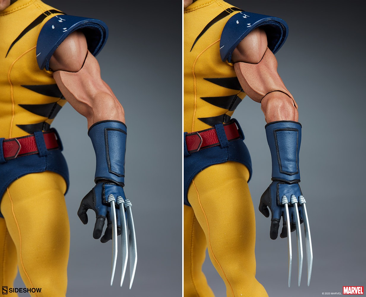 Wolverine Collector Edition View 2