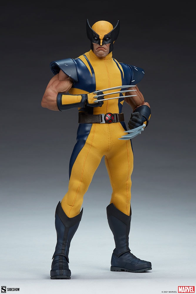 Wolverine (Astonishing Version) View 17