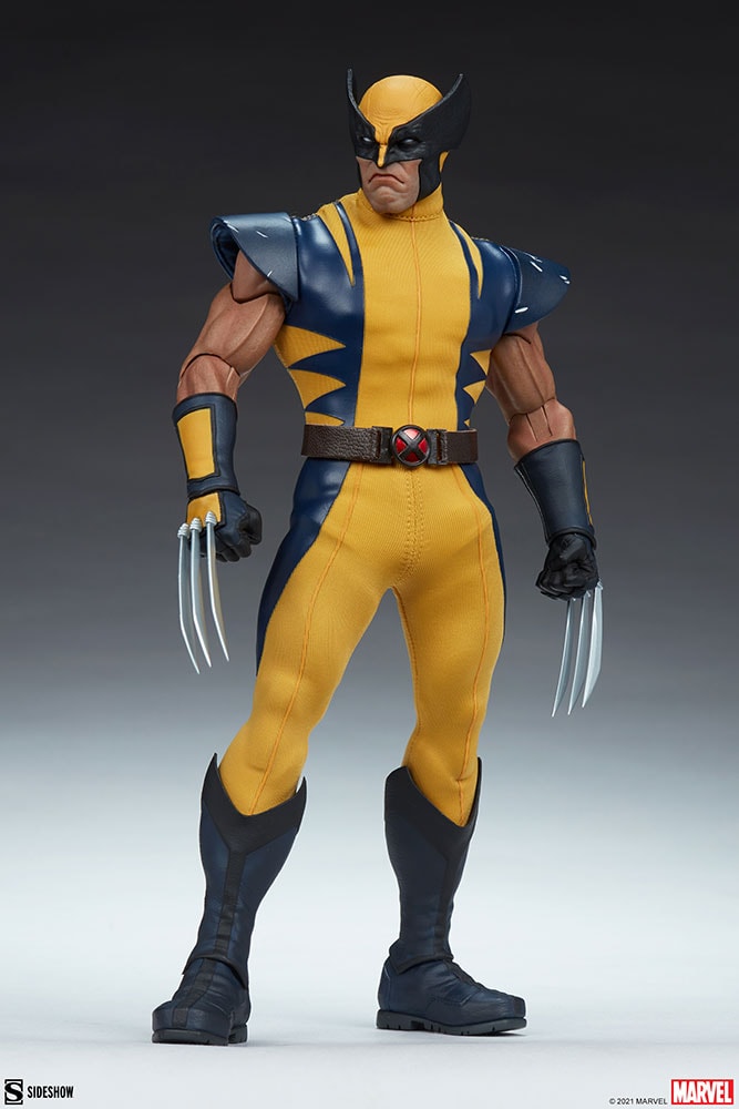 Wolverine (Astonishing Version) View 16