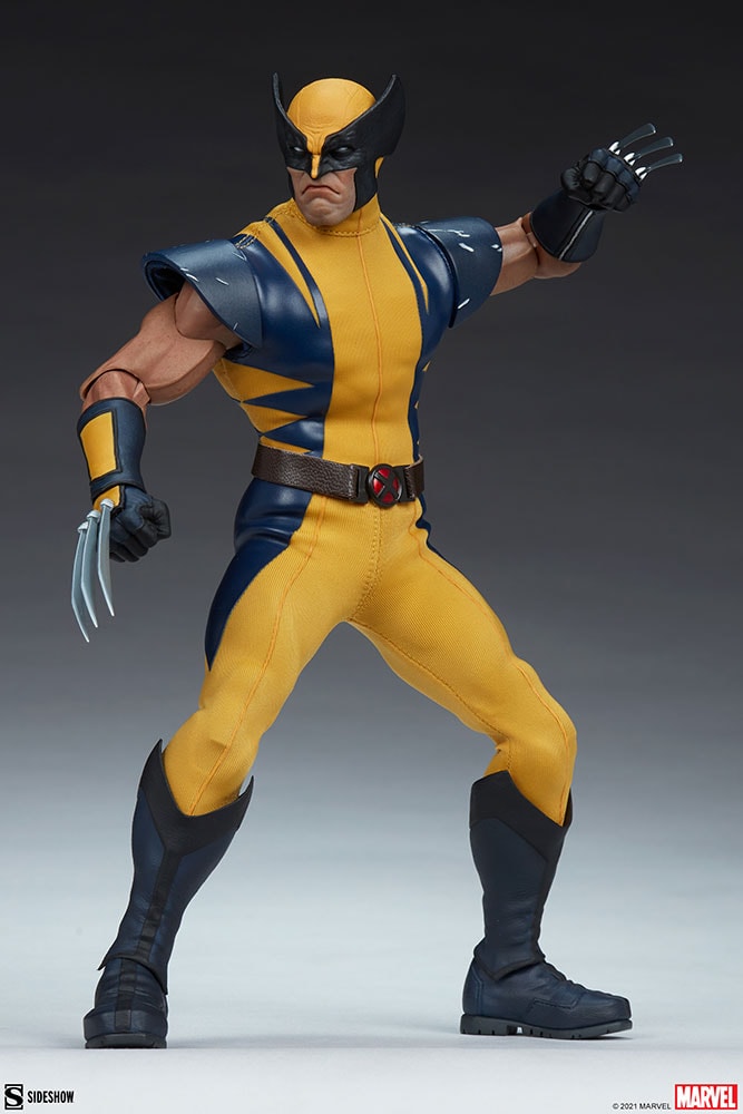 Wolverine (Astonishing Version) View 15