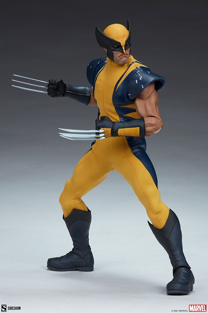 Wolverine (Astonishing Version) View 14