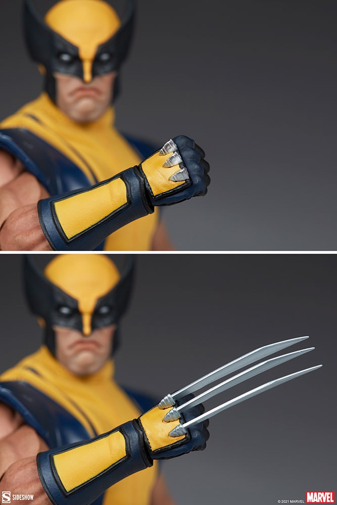 Wolverine (Astonishing Version) View 6