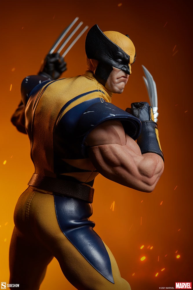 Wolverine (Astonishing Version) View 20